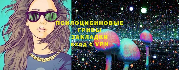 метадон Туринск