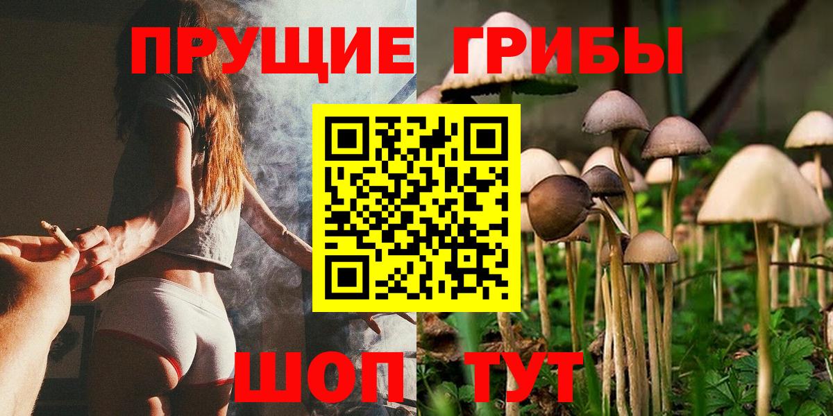 Галлюциногенные грибы GOLDEN TEACHER Чернушка