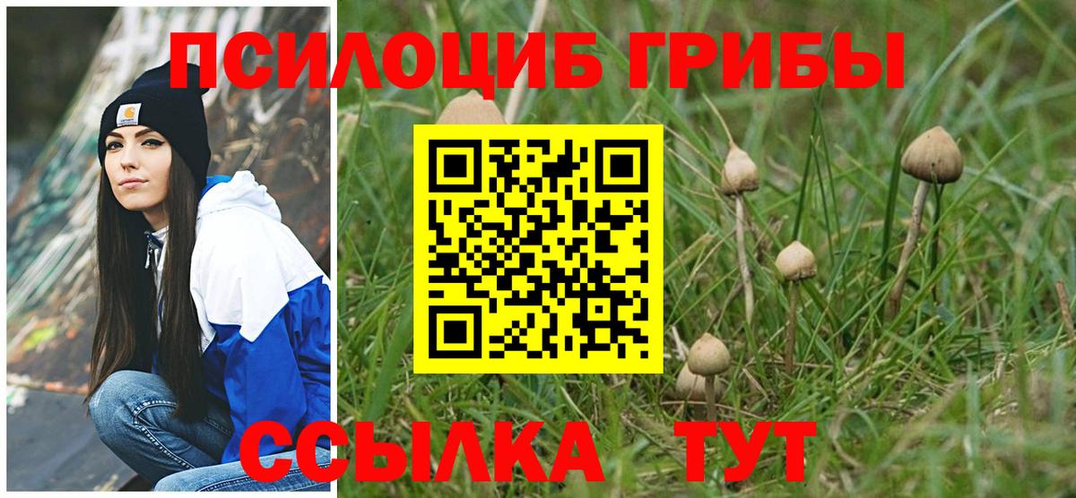 Псилоцибиновые грибы Psilocybe  купить наркоту  Чернушка  Вход с VPN 
